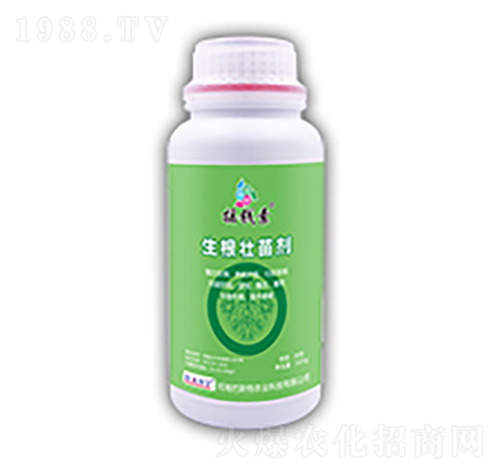 �������焩-�u�X������