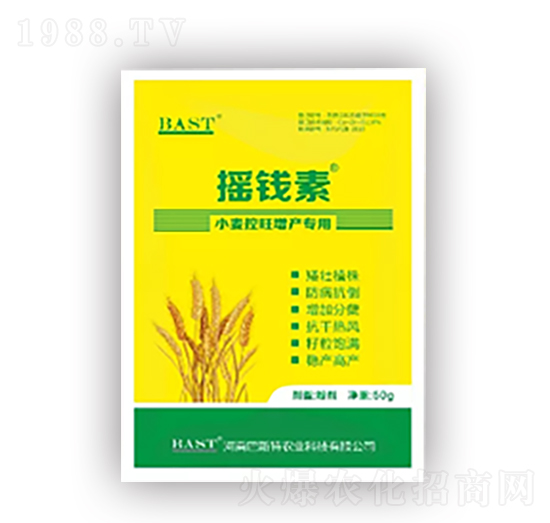 С���������a(ch��n)��(zhu��n)��-�u�X(qi��n)������