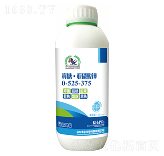 ���ǁ������0-525-375-���S����