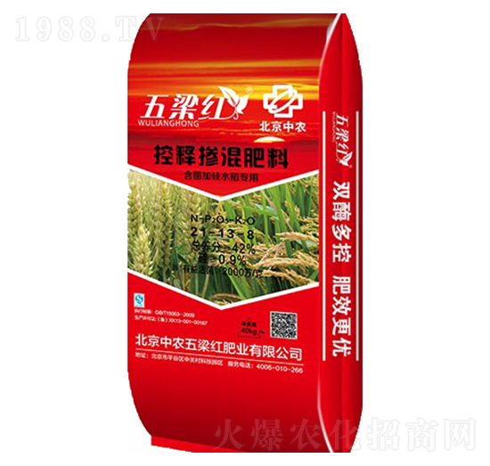 ��ጓ������-�����t