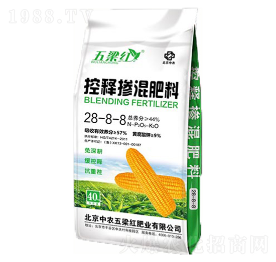 ��ጓ������28-8-8-�����t