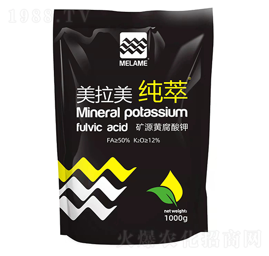 �VԴ�S�����-����-������