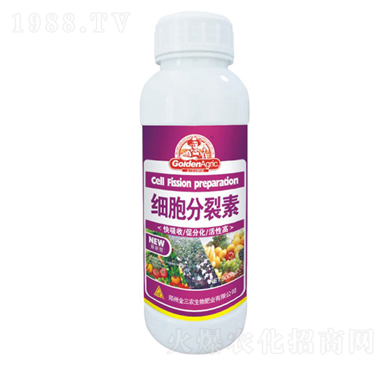 500ml��(x��)��������-�����r(n��ng)