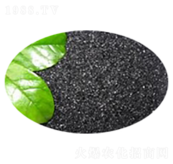 Ƭ�ֲ���-ʢ��������