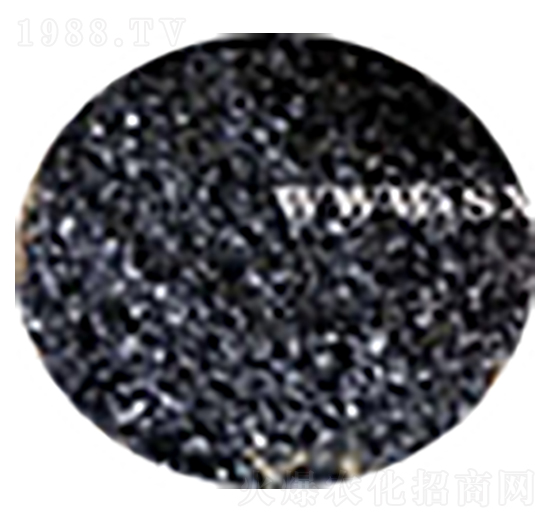 ��ֲ���c-ʢ��������