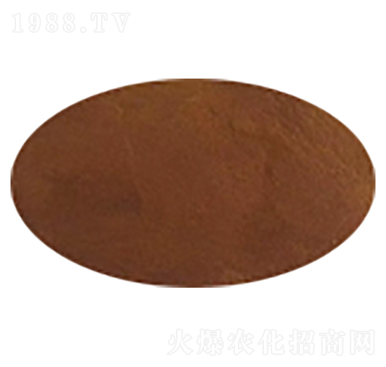 �����S�����-ʢ��������