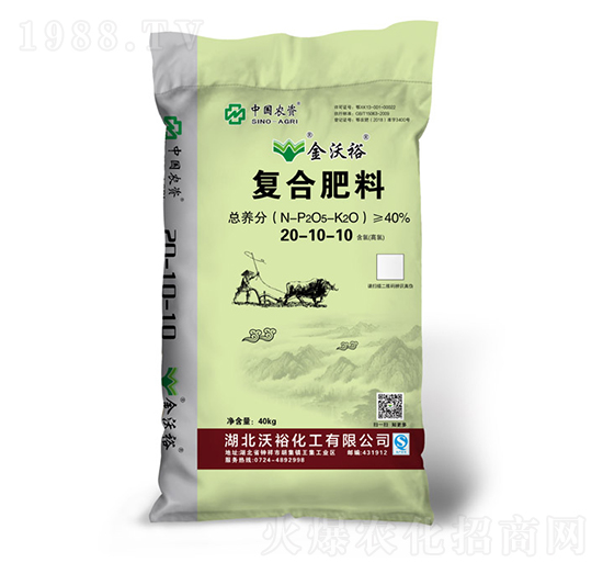 �ͺϷ���20-10-10-��������