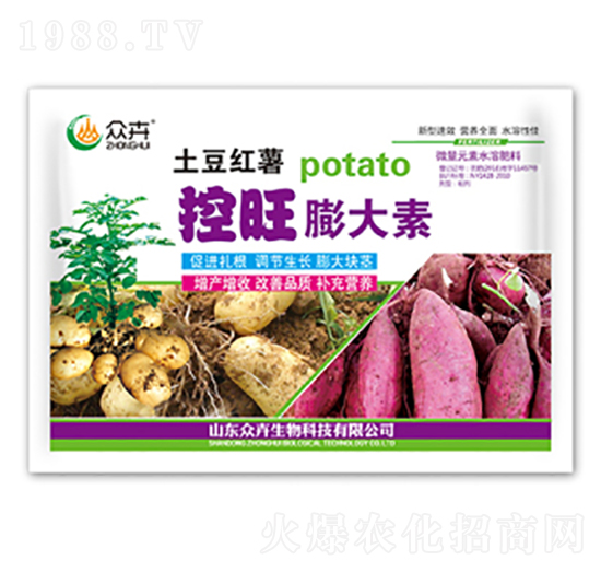 �����t�����������-��������