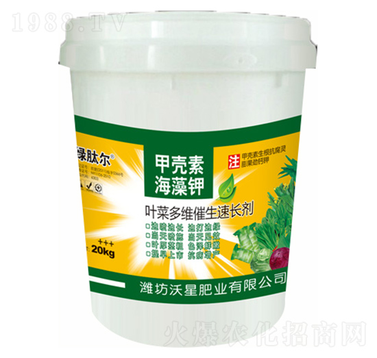 葉菜多維催生速長(zhǎng)劑-沃星肥業(yè)