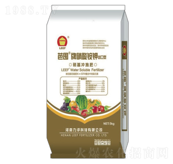 �����@⛛_ʩ��-�Ŷ�-�����Ƽ�