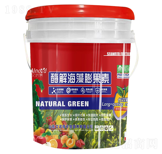 ø�⺣�������-���Z��