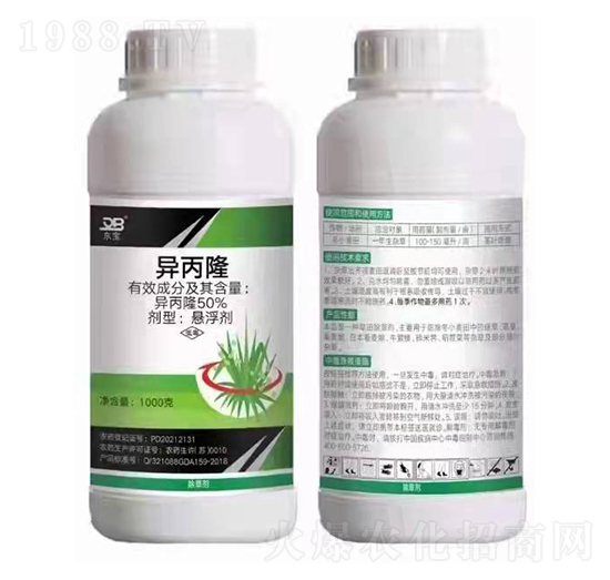 50%����¡�Ҹ���-�|��