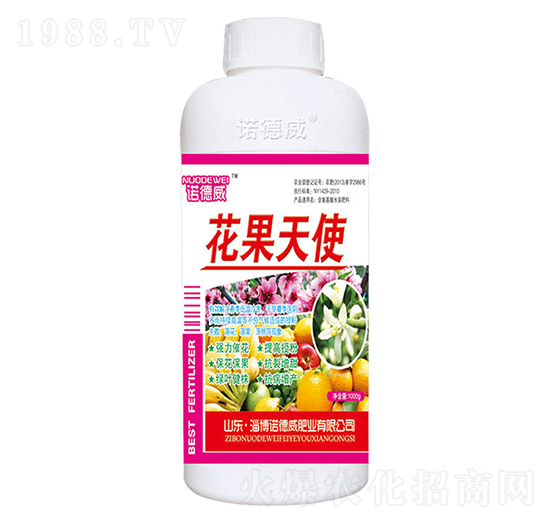 花果天使-諾德威