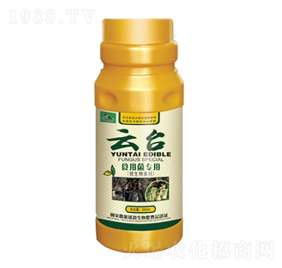 ʳ�þ�����-���_