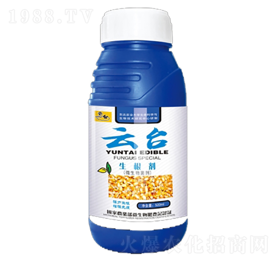 ������-���_(t��i)