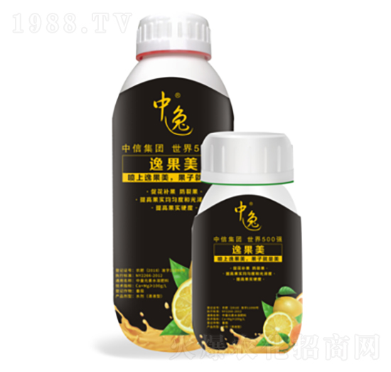 �ݹ���-�����r(n��ng)�I(y��)