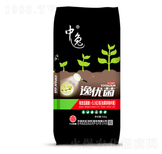 �������-�݃�(y��u)��5�|��-�����r(n��ng)�I(y��)