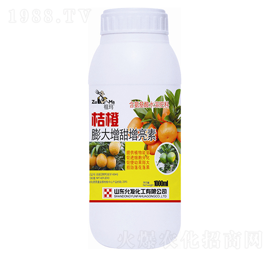 �۳��������������-�ʰl(f��)����