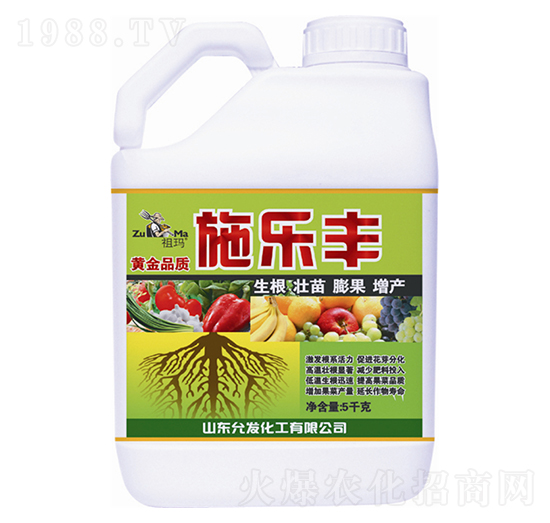 ʩ��(l��)�S-�欔-�ʰl(f��)����