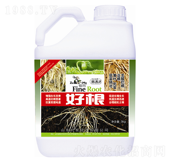 �ø�-�欔-�ʰl(f��)����