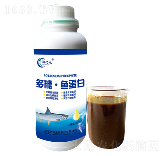 ���ǡ��~����-�|������