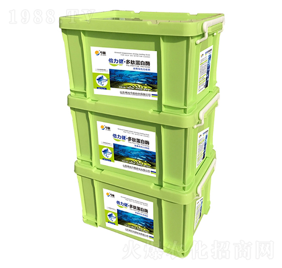 ���ĵ���ø-������-���r��