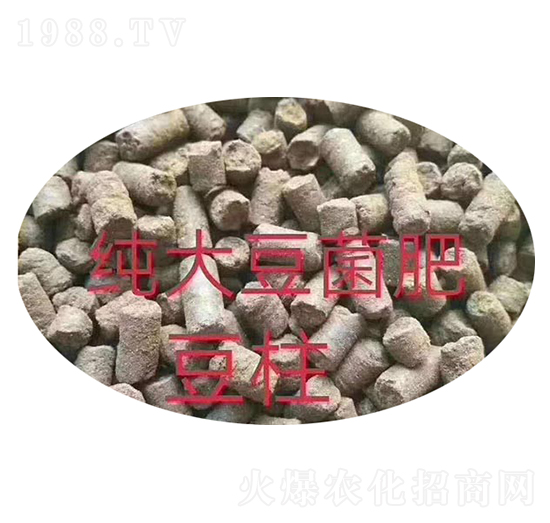 ���󶹾���-ʷ�ؿ�