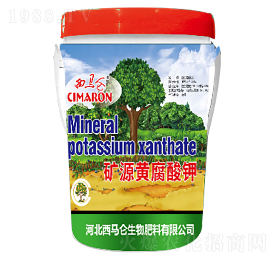 �VԴ�S�����-���R������