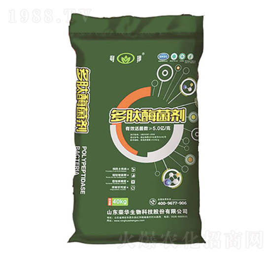 ����ø����-�s�A����