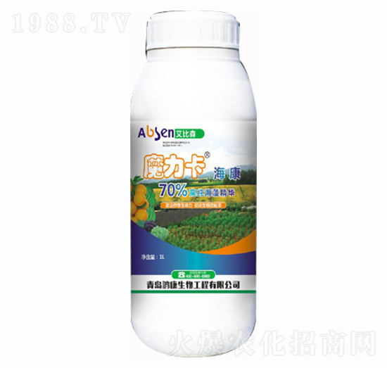 ħ��������-����ɭ-��������