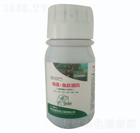 ���塤�~�ĵ���-��������