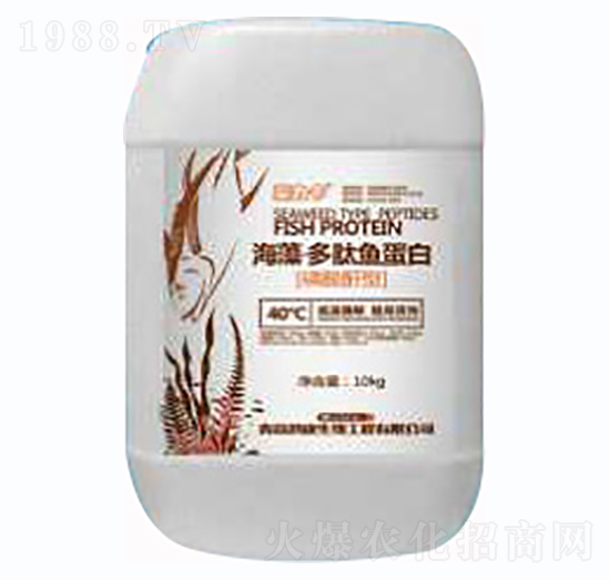 ��������~(y��)����-��������