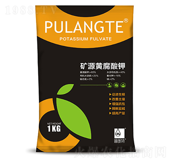 �VԴ�S�����-������