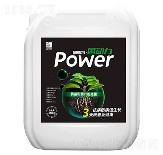 ������-������