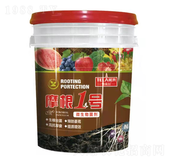 Ħ��1̖΢�������-���R��