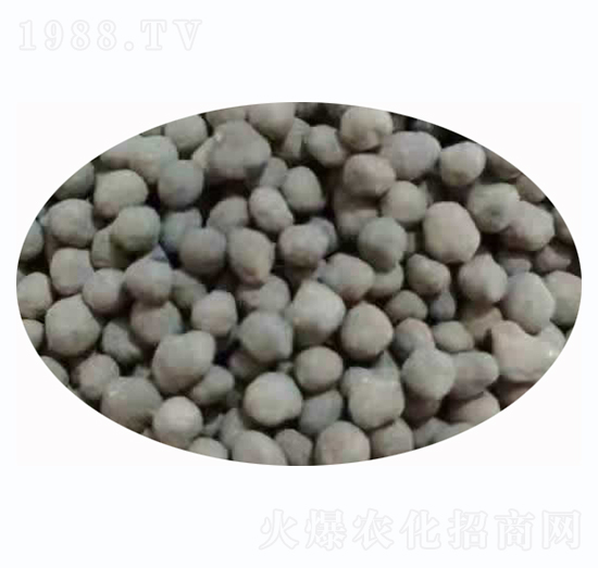 �w������-�𸣵�