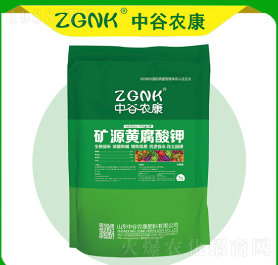 �VԴ�S�����-�й��r(n��ng)��