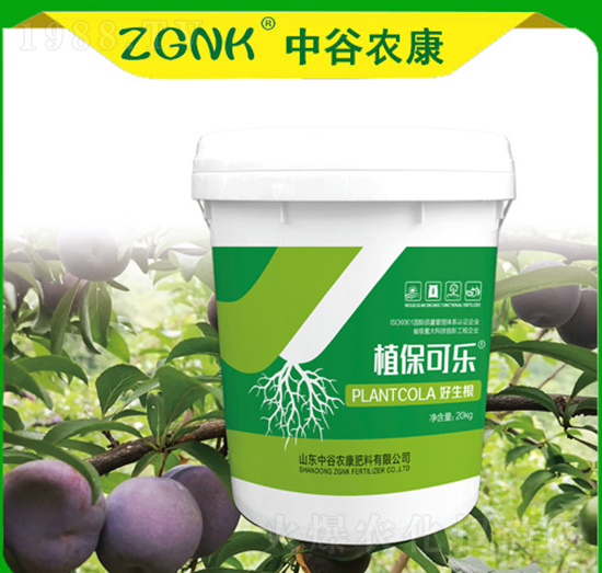 ������-ֲ���ɘ�-�й��r(n��ng)��