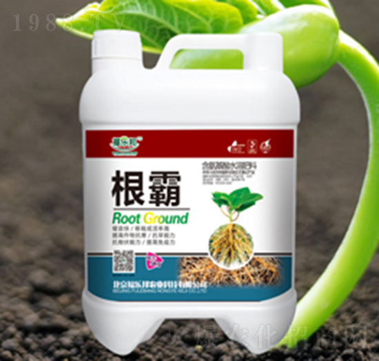 ����-����(l��)��