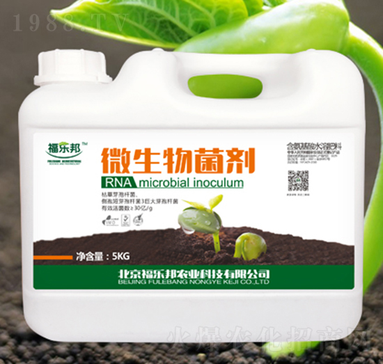 ΢�������-������