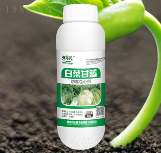 �ײ˸��{�������Ą�-������