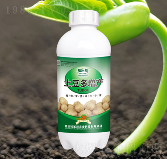 ���������a(ch��n)-����(l��)��