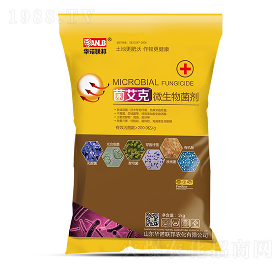 ������΢�������-ʥ�ϝ�