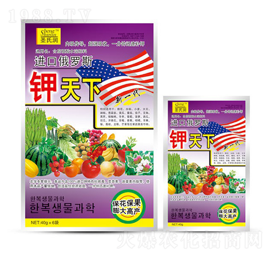 �����-ʥ�ϝ�(r��n)