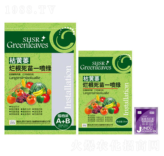 ���Sή��������һ���G-ʥ�ϝ�