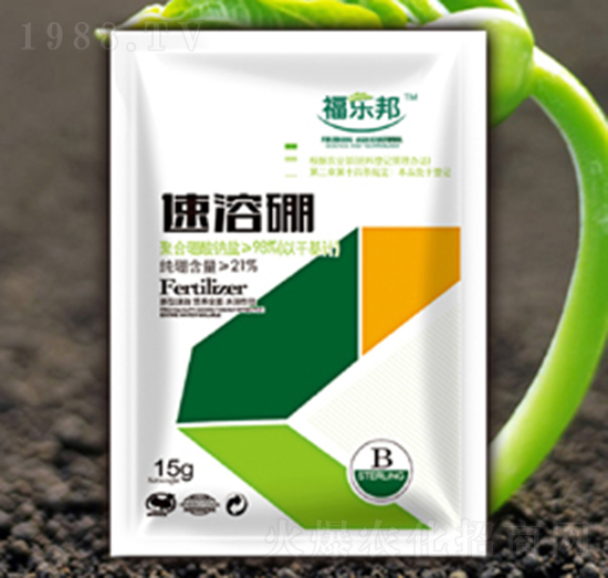 ������-����(l��)��