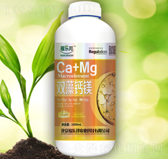 �p���}�V-������