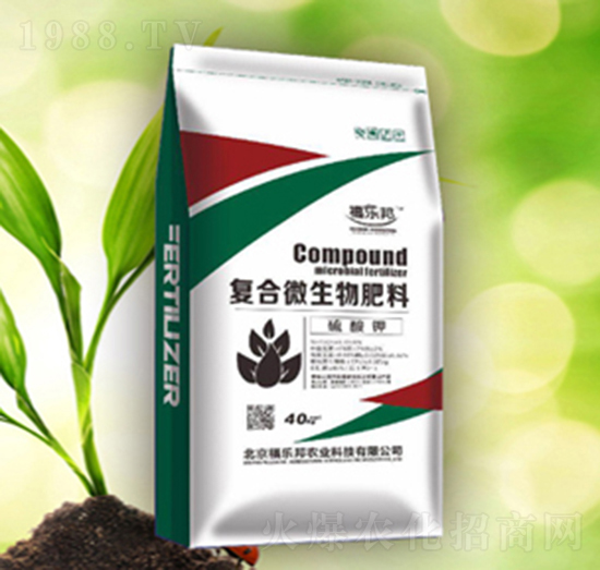 �ͺ�΢�������-������