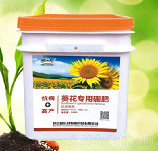 �����������-����(l��)��