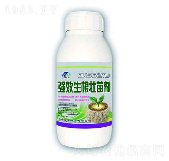 �����������焩-����ʘI(y��)